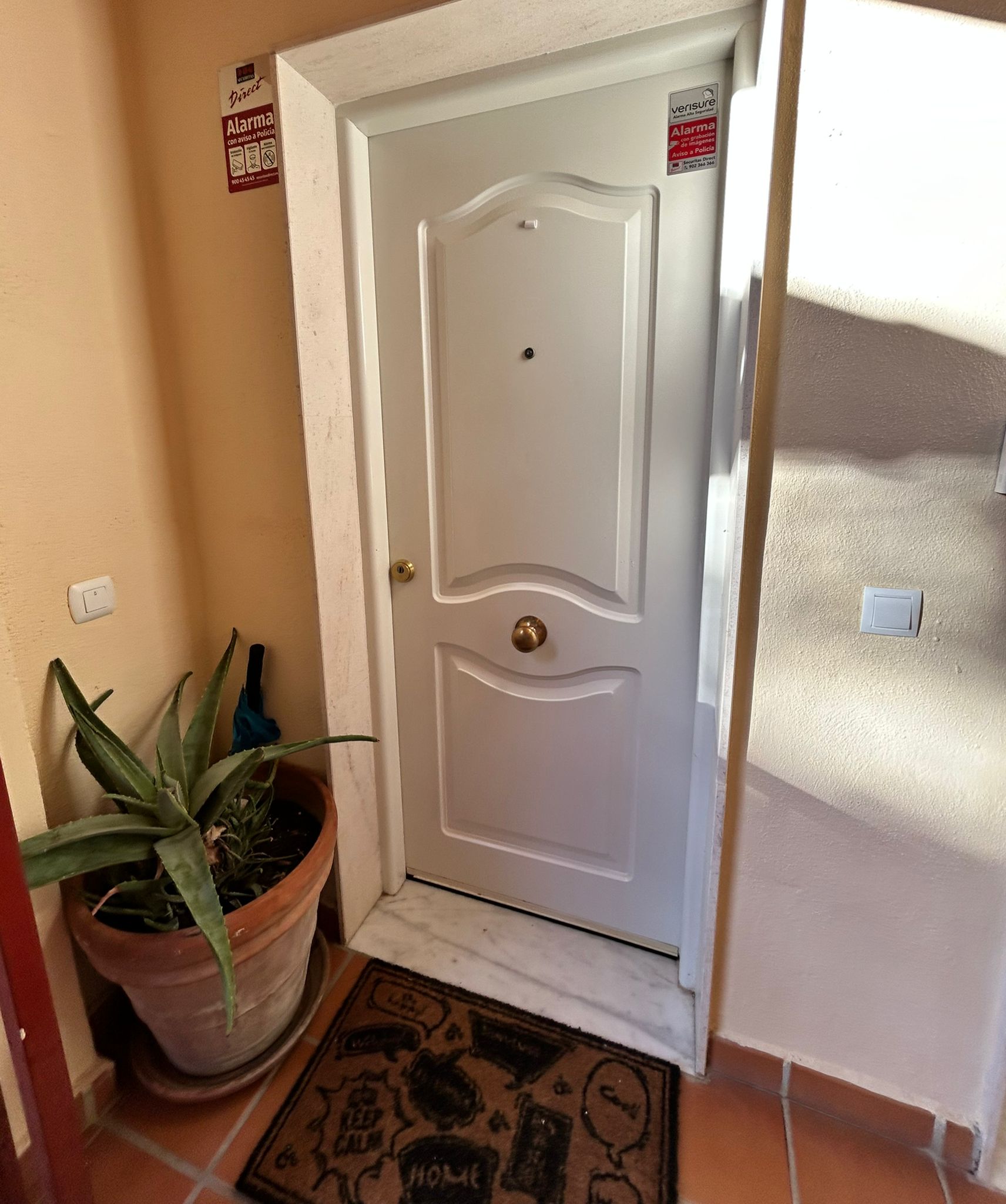 Residential Door Opening